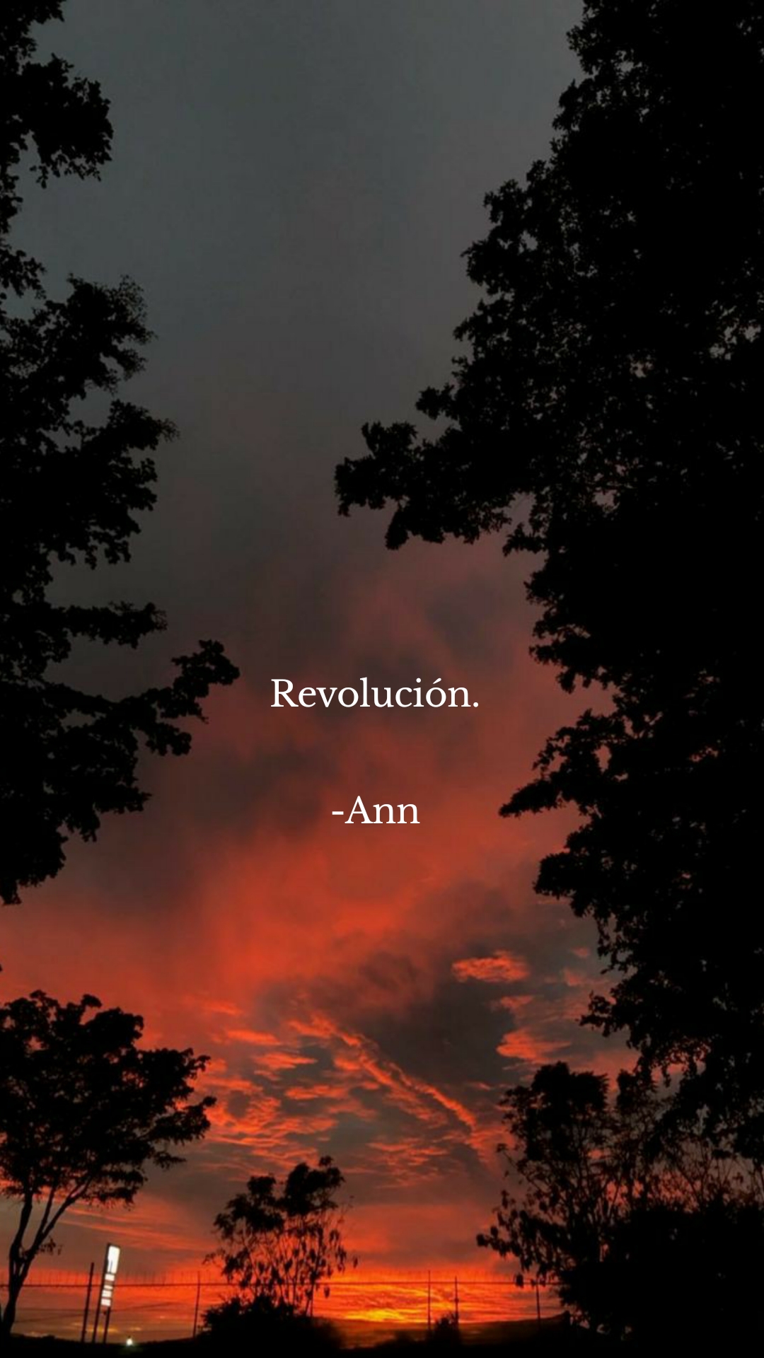 Revolución.

-Ann